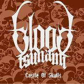 Blood Tsunami : Castle of Skulls